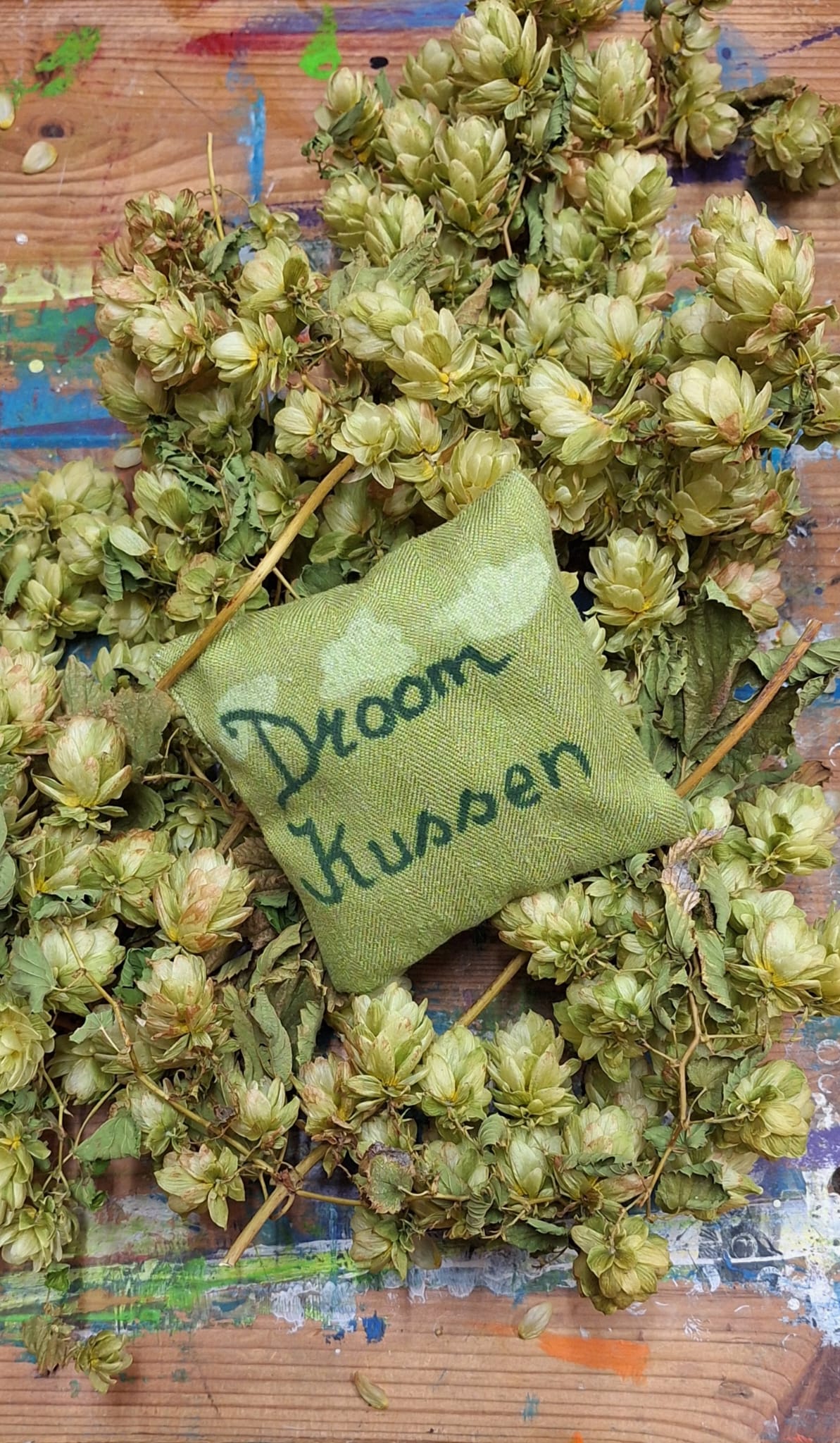 Droom kussen naaien